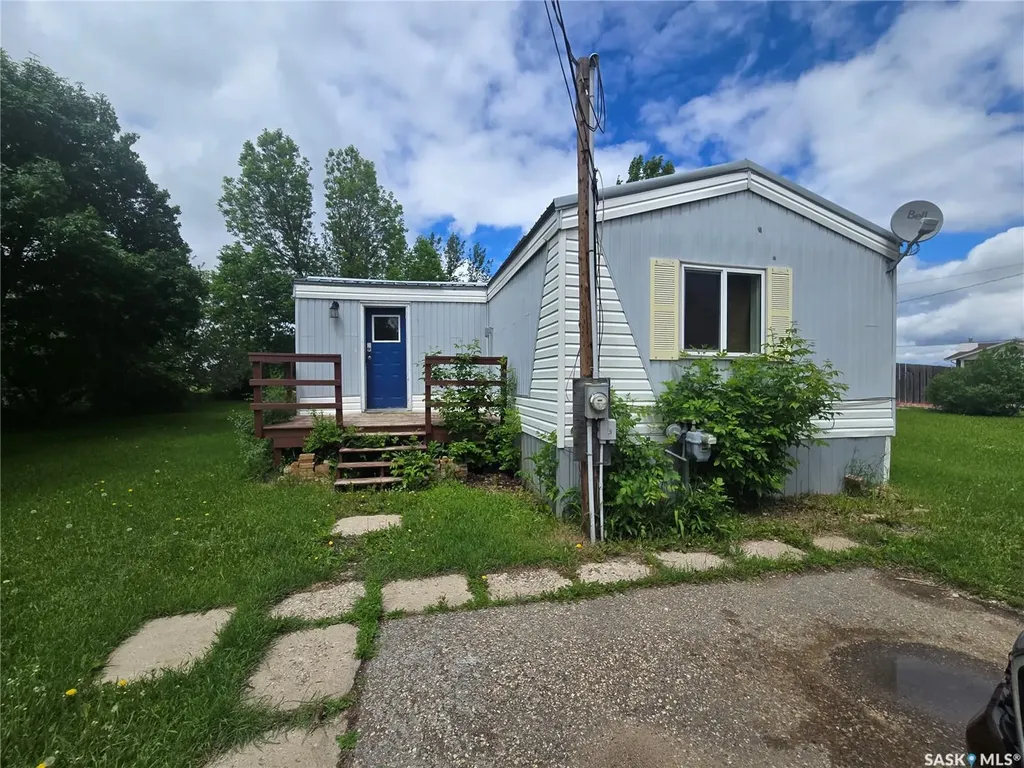 212 Railway Avenue N Lampman SK S0C 1N0
