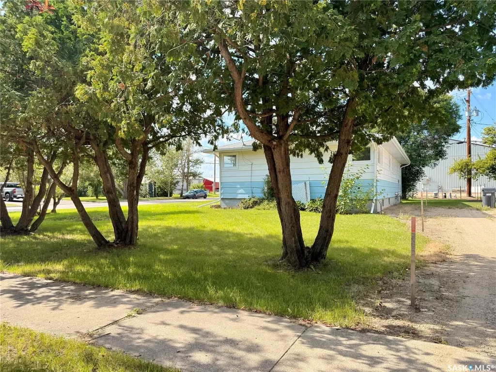201 Ottawa Street Davidson SK S0G 1A0