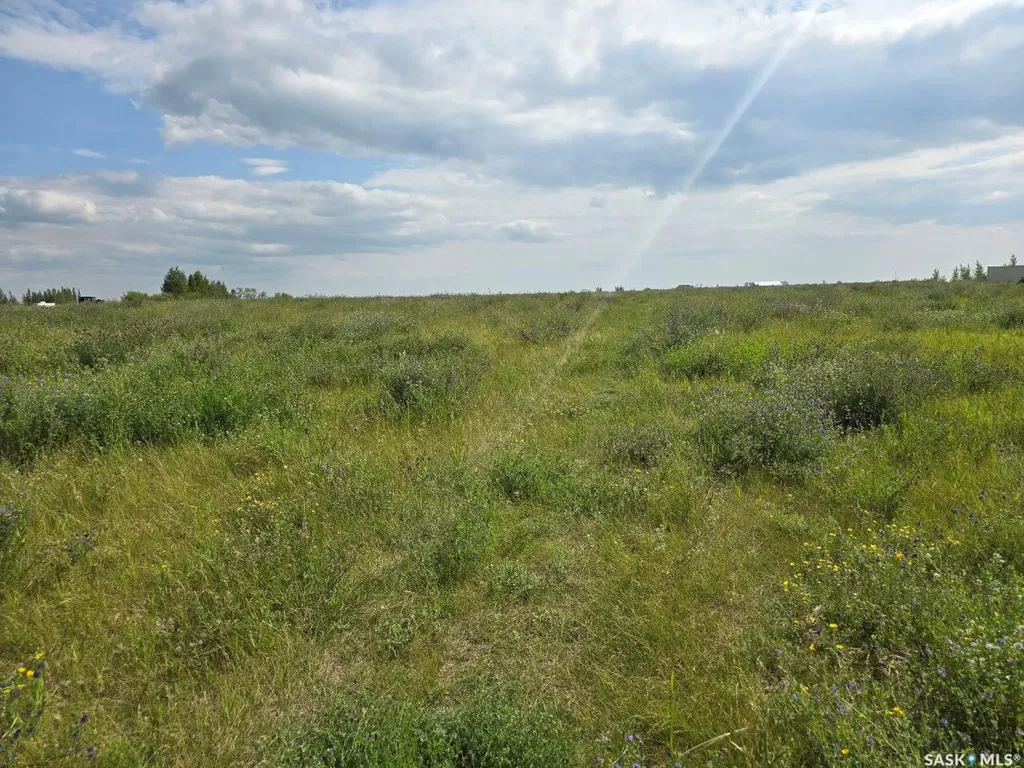 Lot 4 Rural Address Dundurn Rm No. 314 SK S7K 3J8