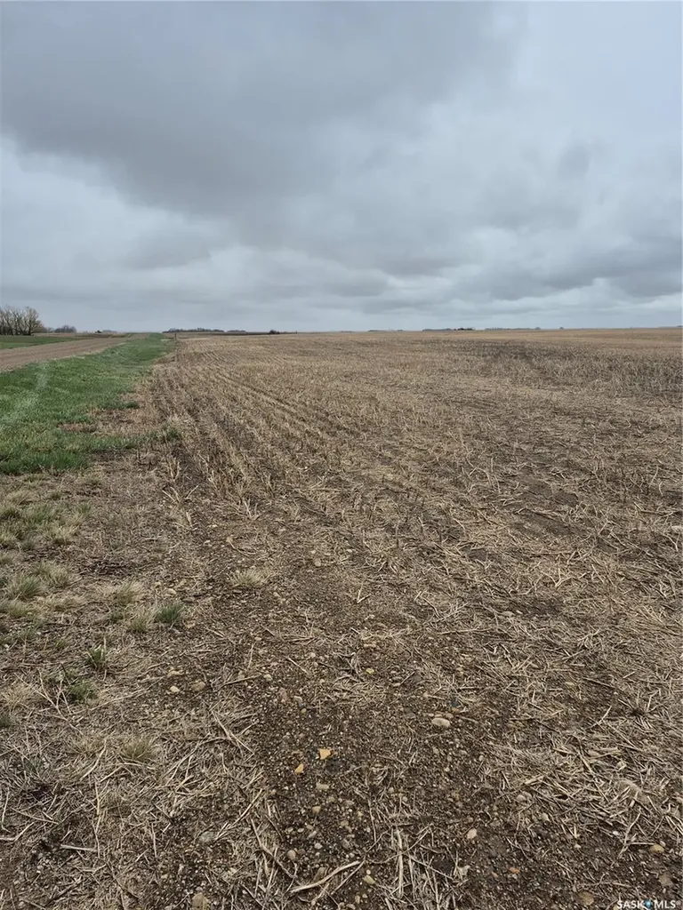 Rural Address Arm River Rm No. 252 SK S0G 1A0