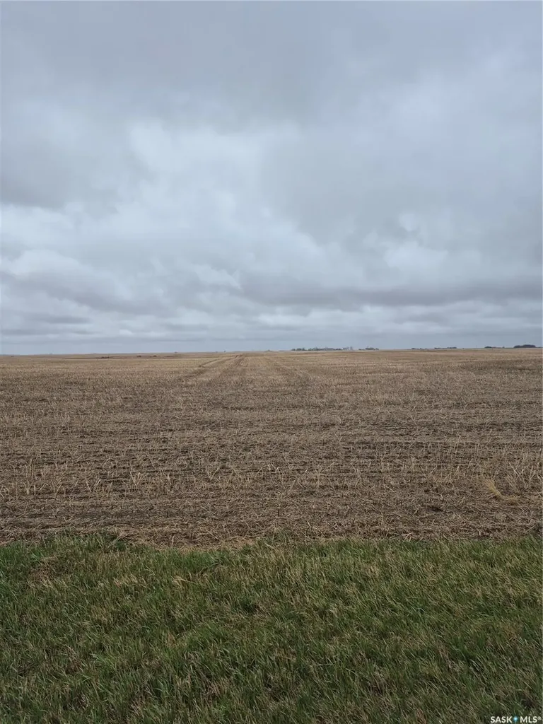 Rural Address Arm River Rm No. 252 SK S0G 1A0