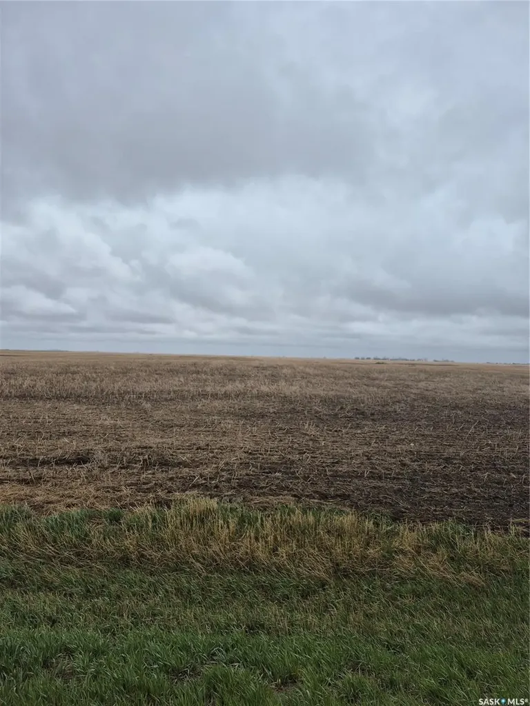 Rural Address Arm River Rm No. 252 SK S0G 1A0
