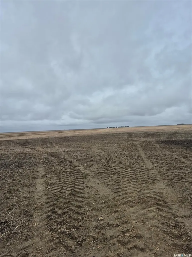 Rural Address Arm River Rm No. 252 SK S0G 1A0
