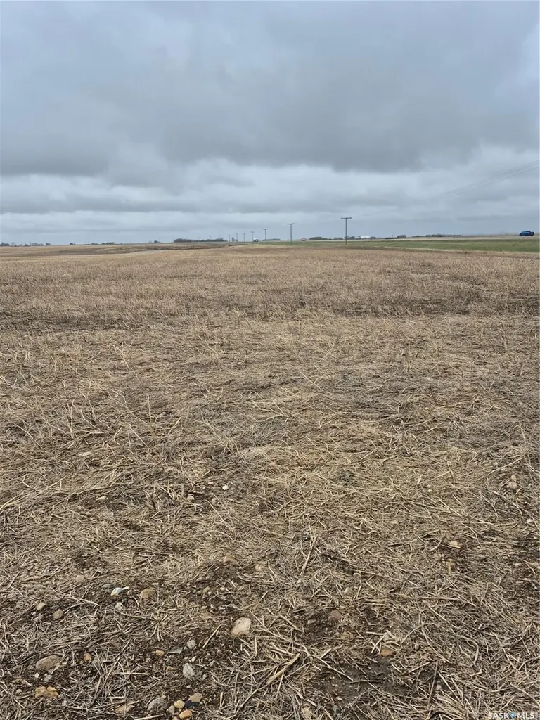 Rural Address Arm River Rm No. 252 SK S0G 1A0