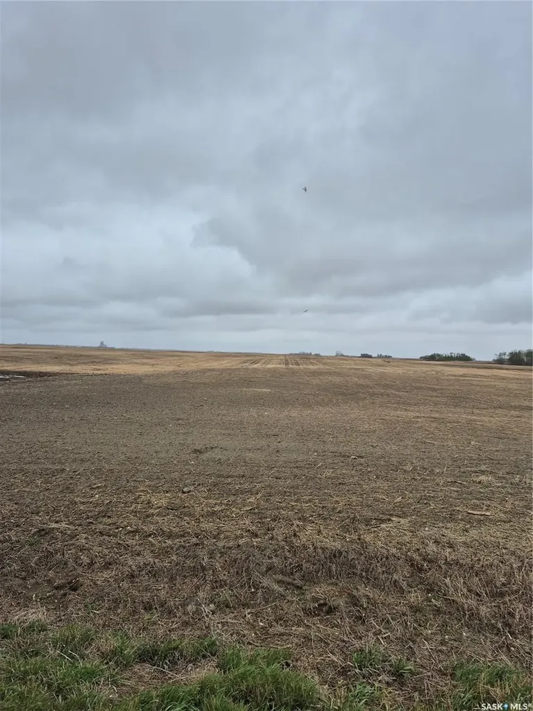 Rural Address Arm River Rm No. 252 SK S0G 1A0