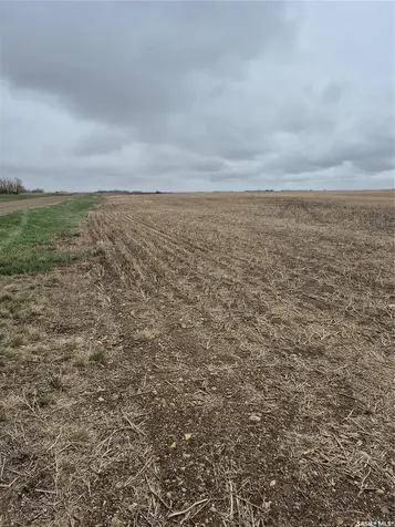 Rural Address Arm River Rm No. 252 SK S0G 1A0