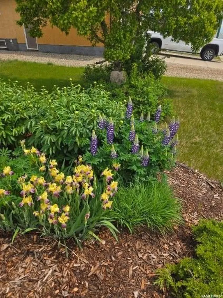 31 Ross Drive Yorkton SK S3N 4A2