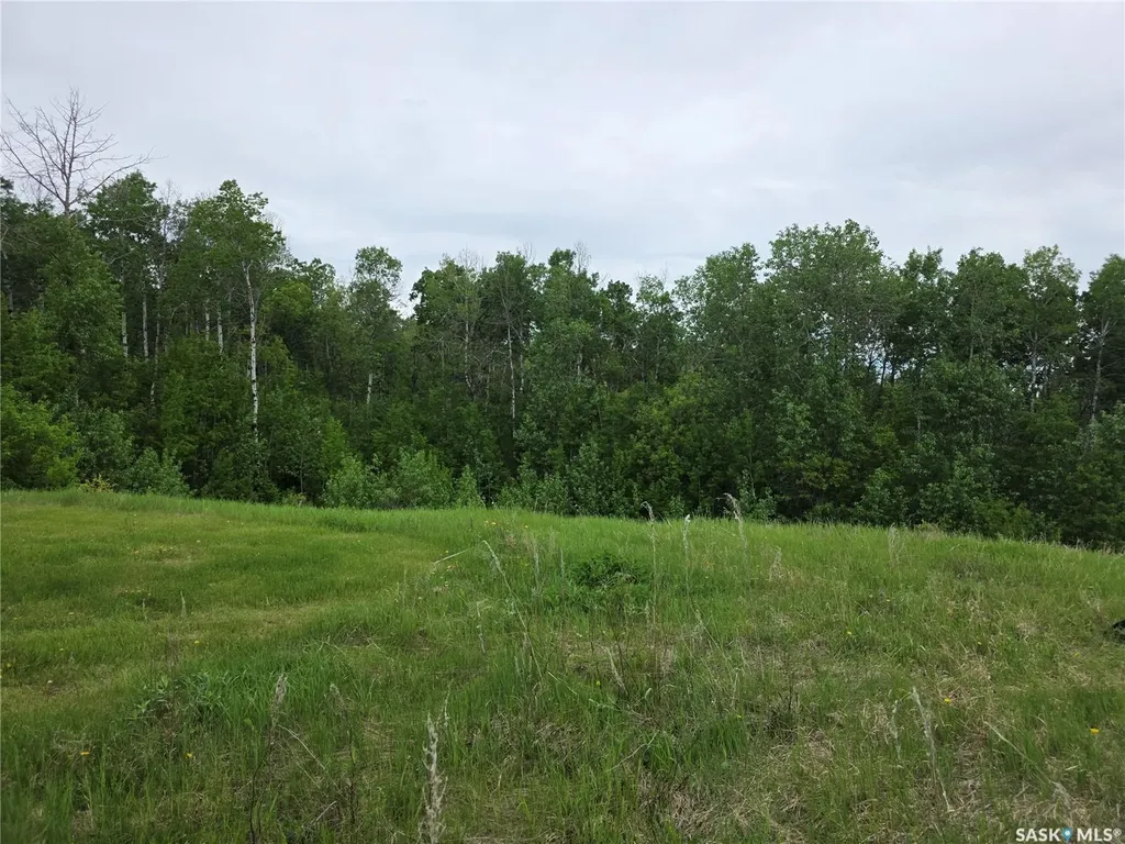 Lot 46 Kepula Lane Calder Rm No. 241 SK S0A 4S0