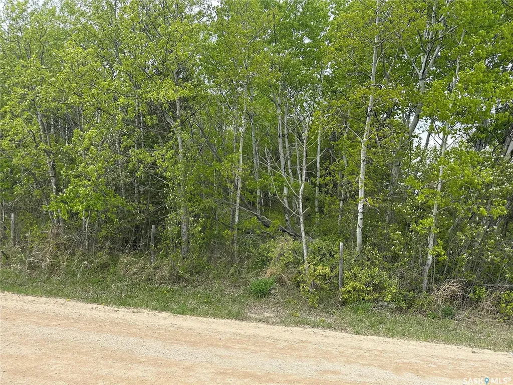 Rural Address Big River Rm No. 555 SK S0J 0E0