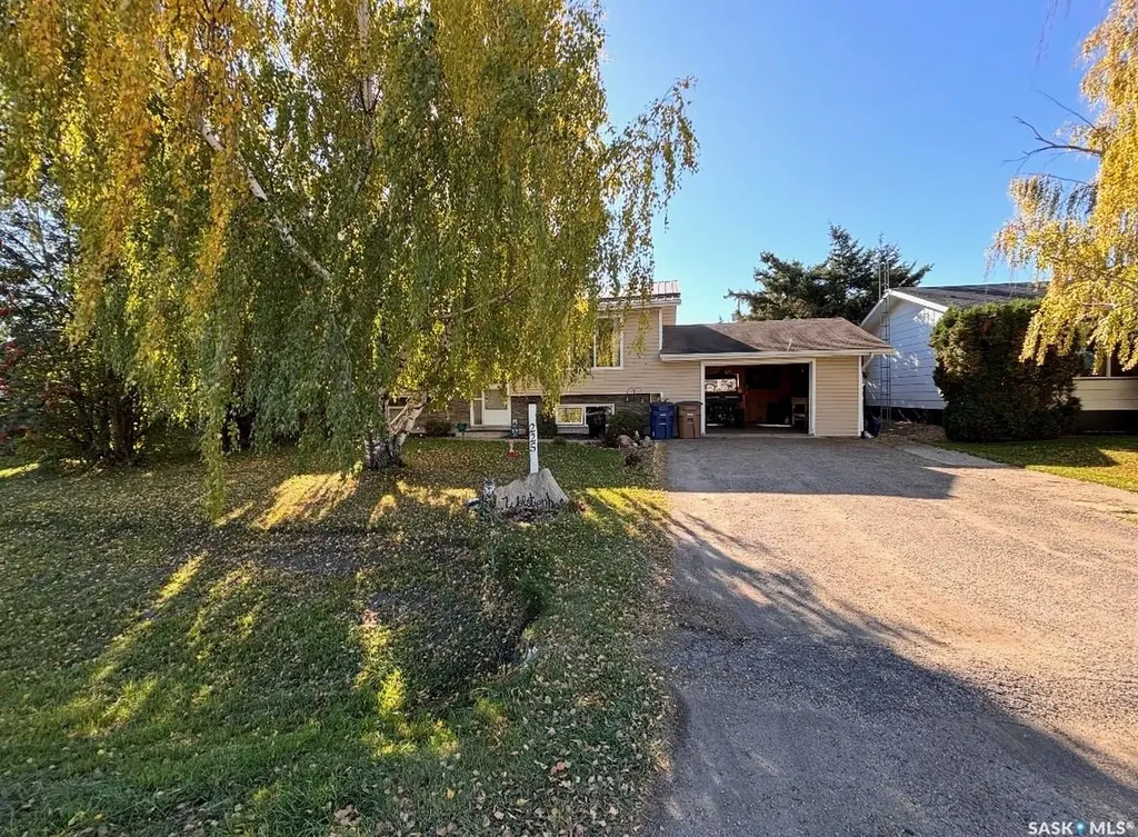 225 Cooper Street Porcupine Plain SK S0E 1H0