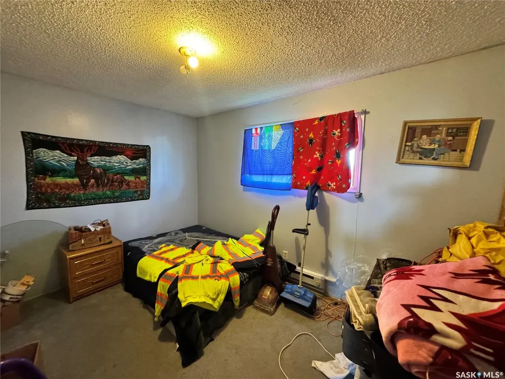 102 1st Avenue Landis SK S0K 2K0