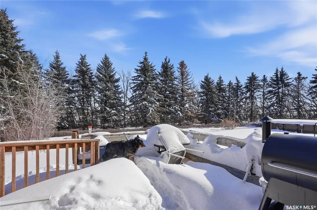 Rural Address Hoodoo Rm No. 401 SK S0K 4P0