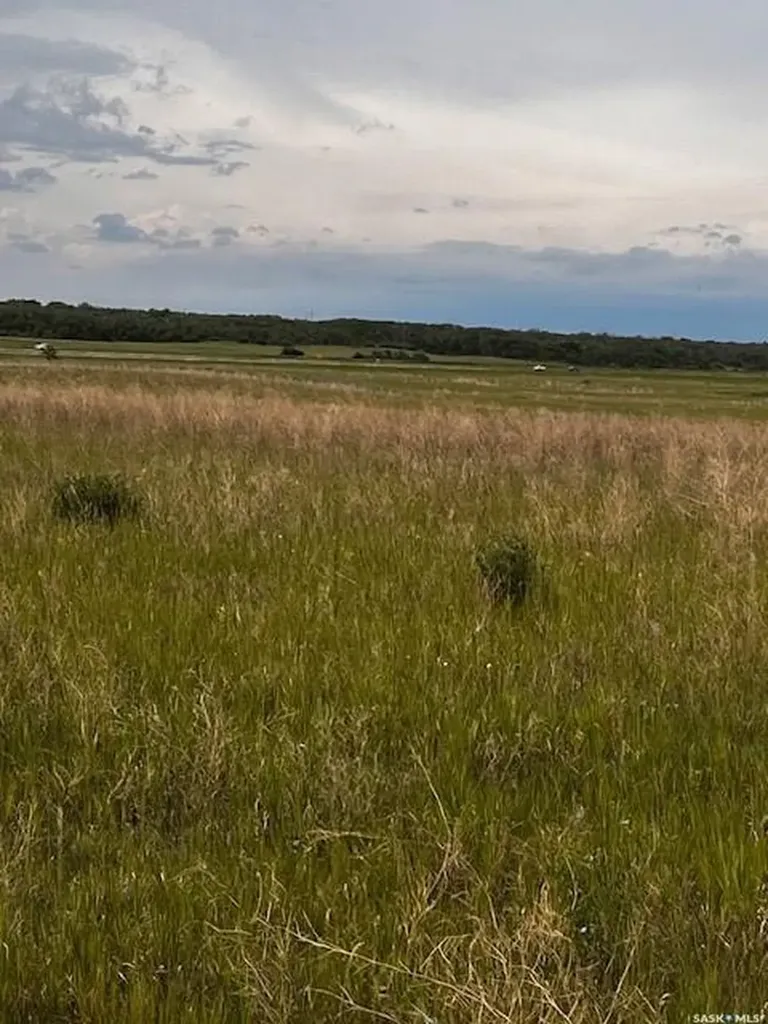Rural Address Dundurn Rm No. 314 SK S0K 1K0