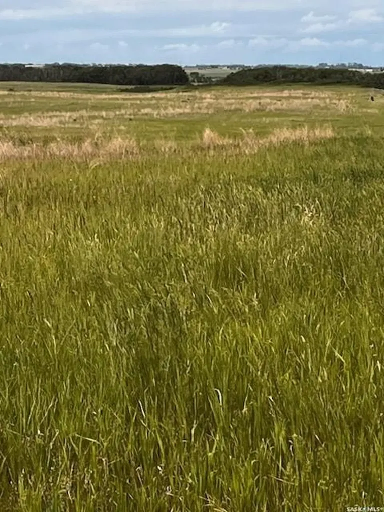 Rural Address Dundurn Rm No. 314 SK S0K 1K0