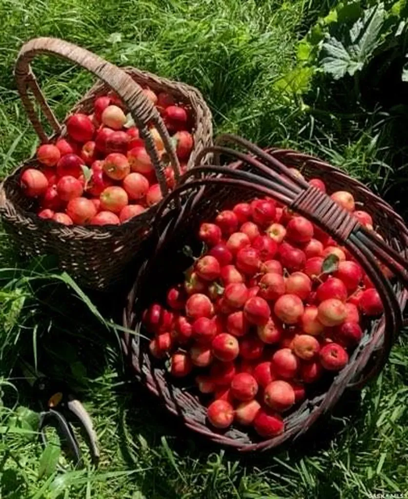 500 3rd Avenue E Buchanan SK S0A 0J0