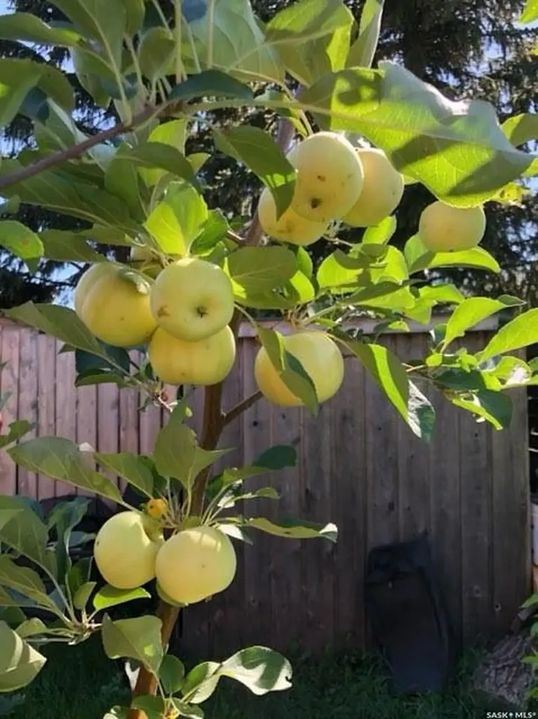 500 3rd Avenue E Buchanan SK S0A 0J0