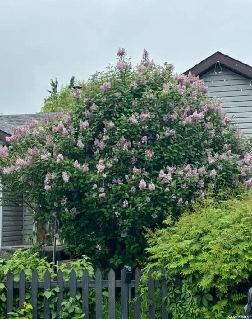 500 3rd Avenue E Buchanan SK S0A 0J0