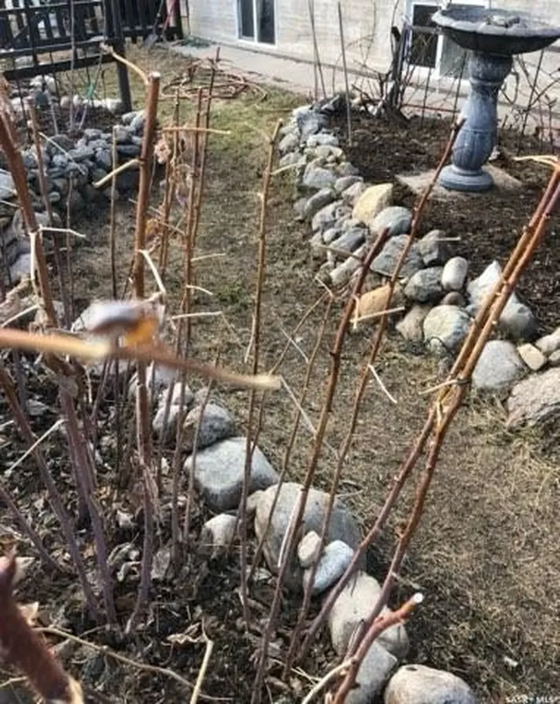 500 3rd Avenue E Buchanan SK S0A 0J0