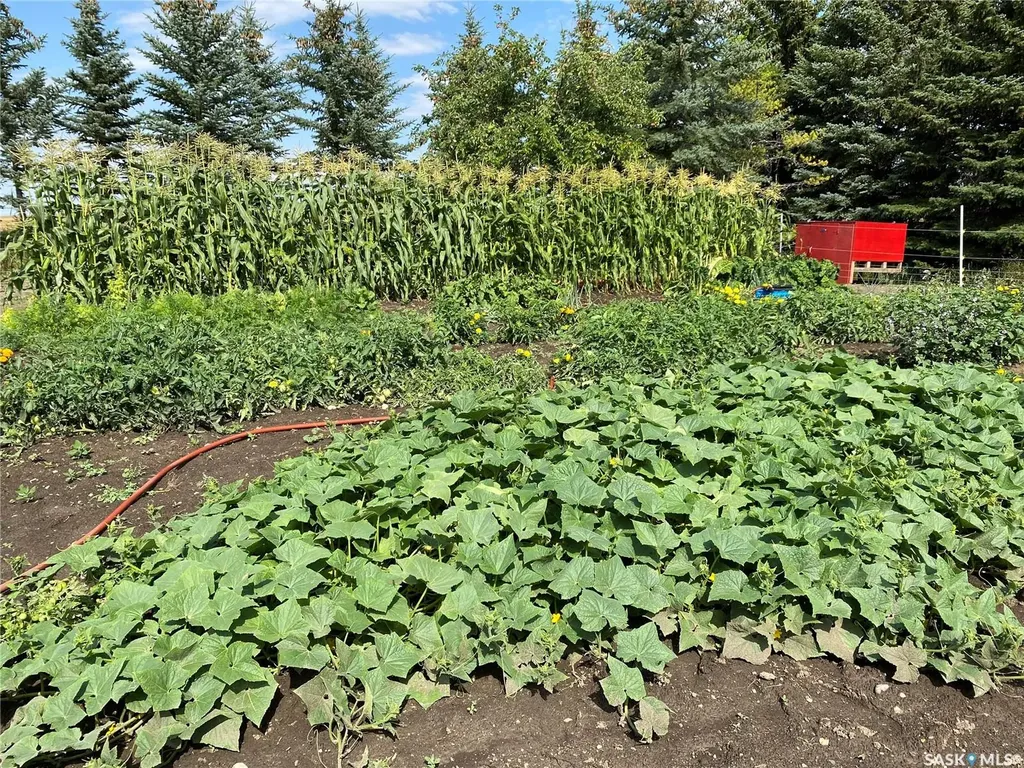 . Railway Avenue Gladmar SK S0C 1A0