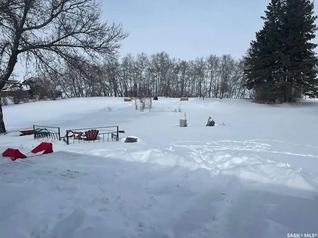 35 Assiniboia Avenue Dubuc SK S0A 0R0