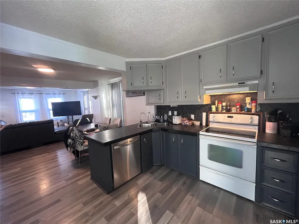 318 Aldridge Street Bienfait SK S0C 0M0