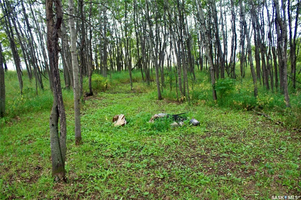 Rural Address Blucher Rm No. 343 SK S0K 0Y0