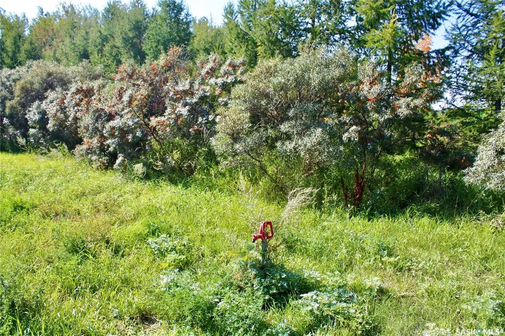 Rural Address Blucher Rm No. 343 SK S0K 0Y0