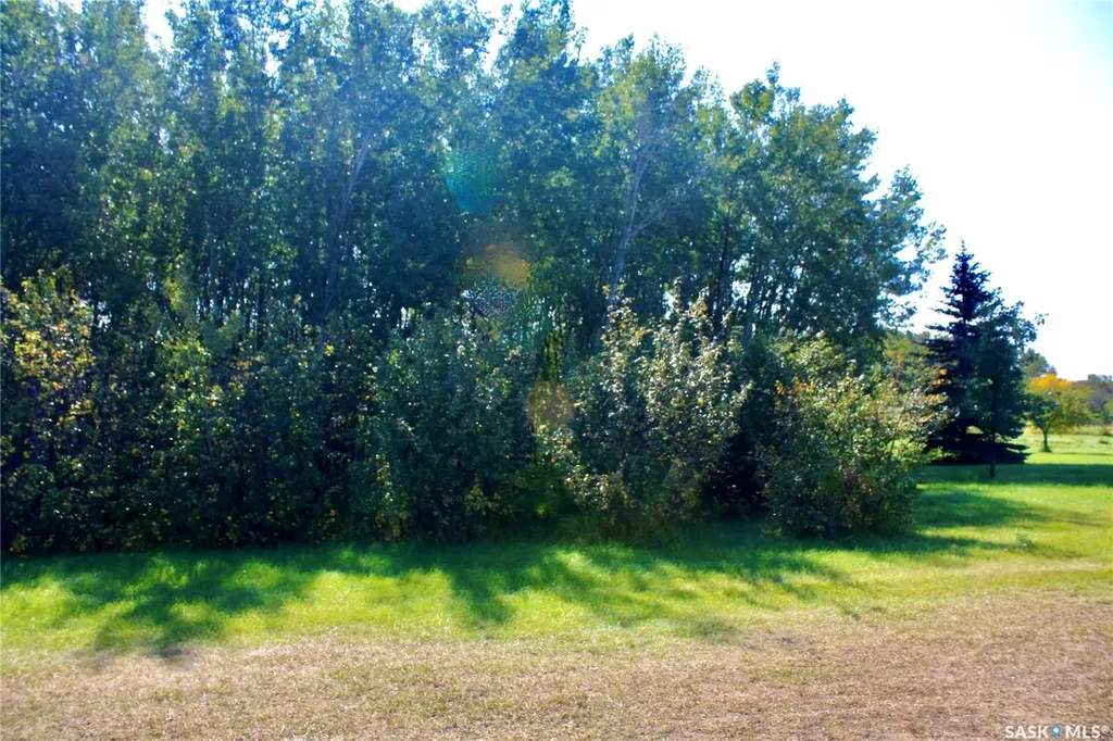 Rural Address Blucher Rm No. 343 SK S0K 0Y0