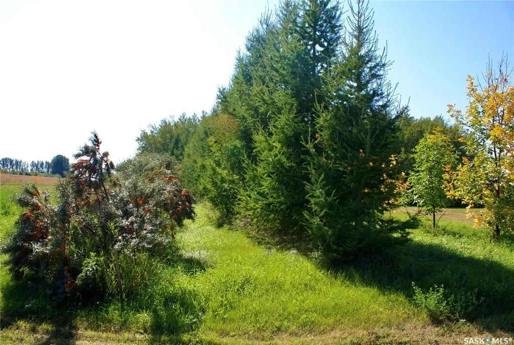 Rural Address Blucher Rm No. 343 SK S0K 0Y0