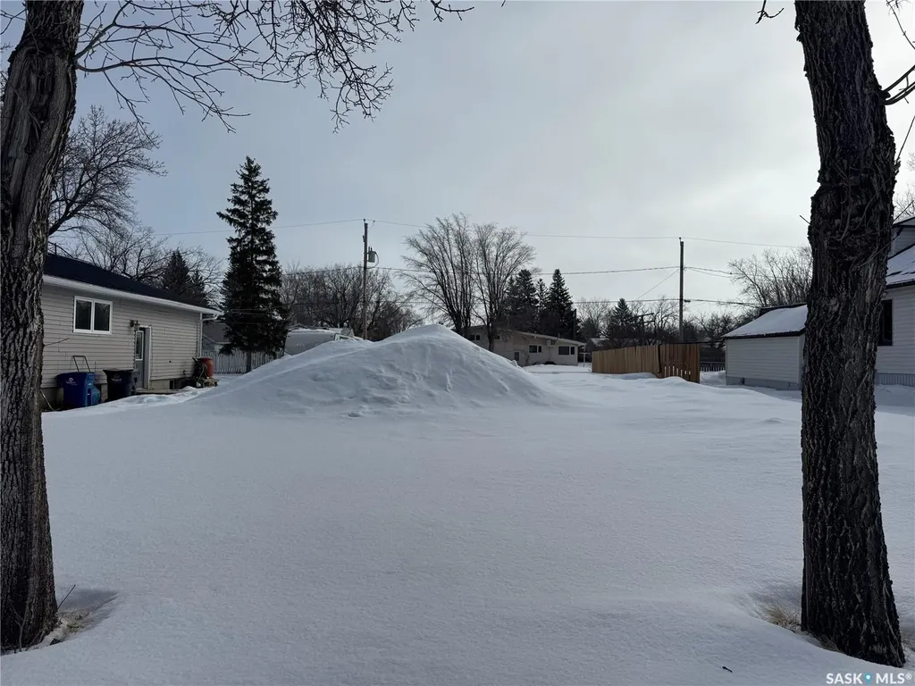307 3rd Street W Wynyard SK S0A 4T0