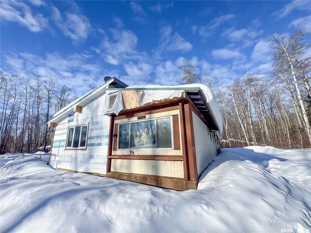 207 Brown Street Paddockwood Rm No. 520 SK S0J 0N0