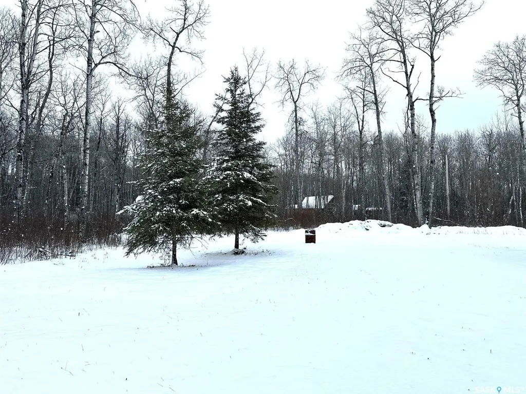 35 Porcupine Drive Hudson Bay Rm No. 394 SK S0E 0Y0
