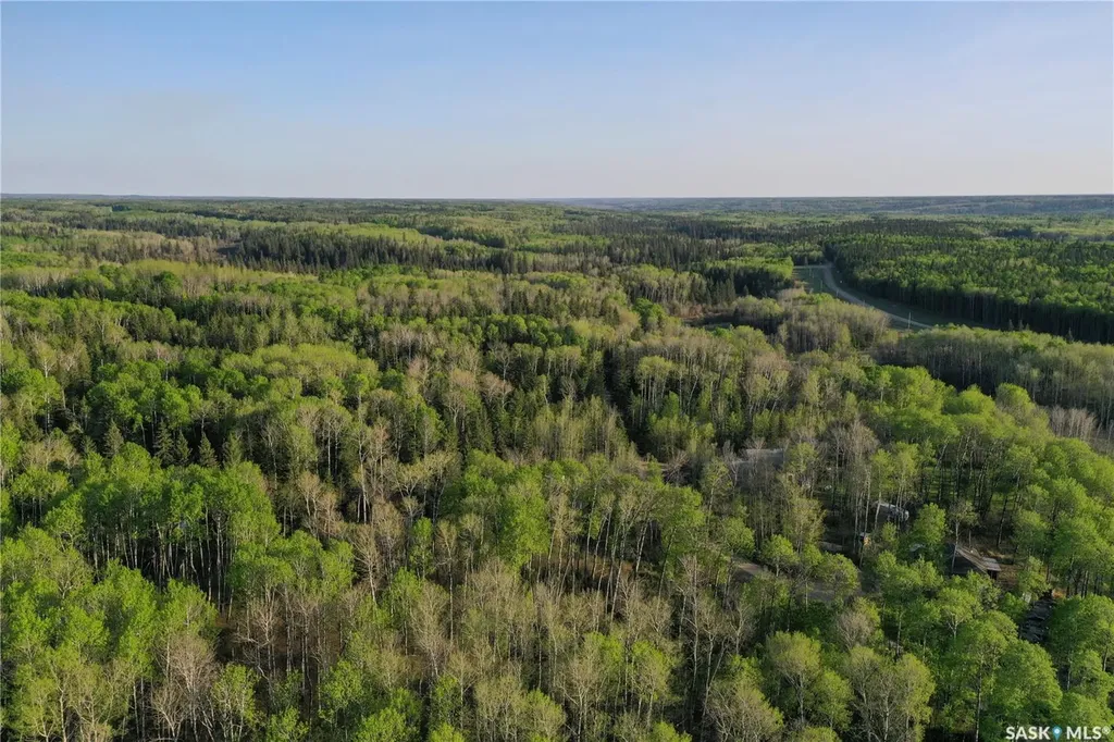 35 Porcupine Drive Hudson Bay Rm No. 394 SK S0E 0Y0