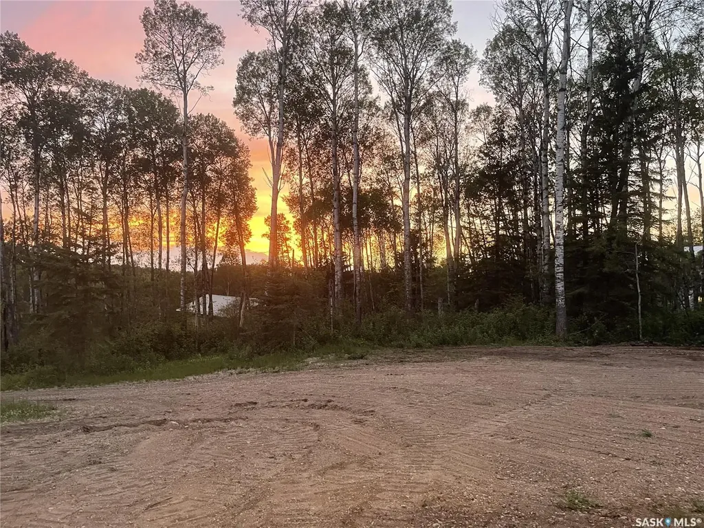 35 Porcupine Drive Hudson Bay Rm No. 394 SK S0E 0Y0