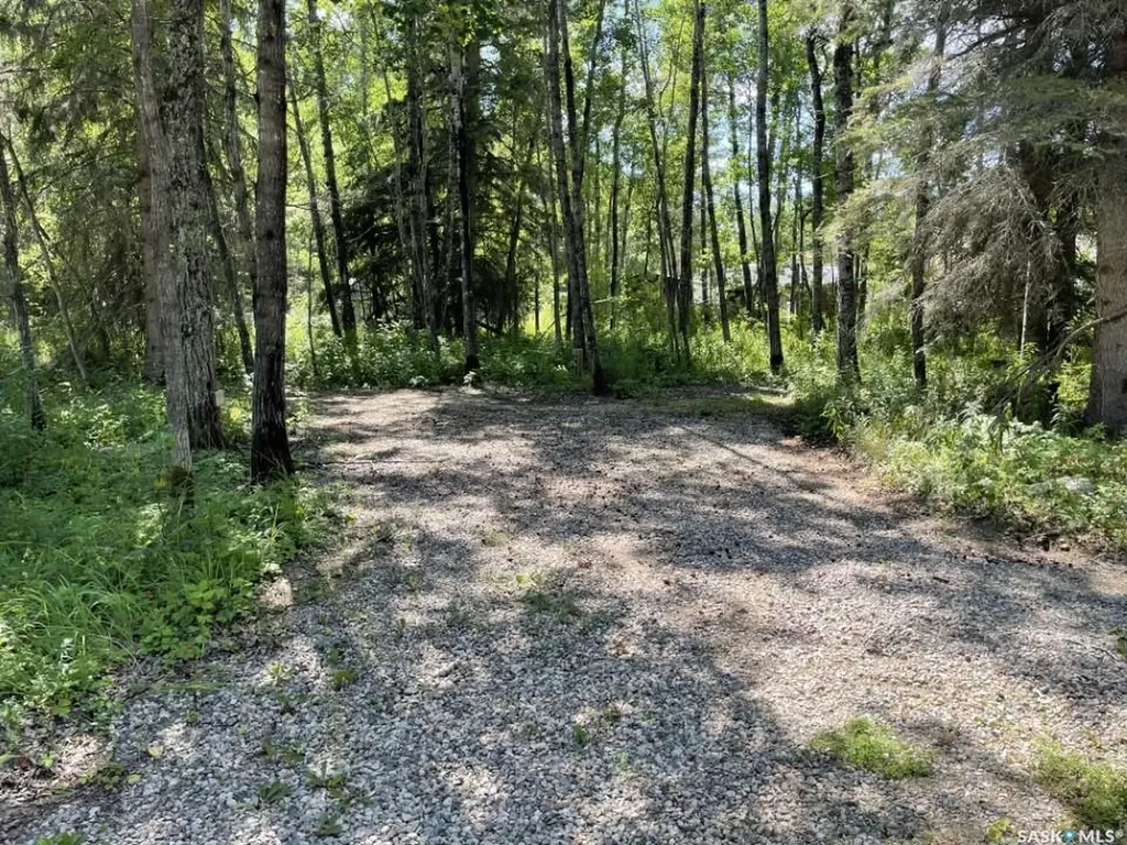 144 Ahlstrom Drive Mervin Rm No.499 SK S0M 1J0