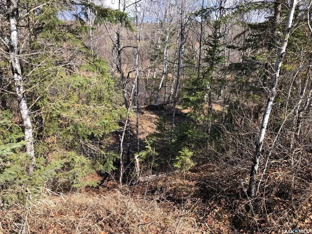 Rural Address Hudson Bay Rm No. 394 SK S0E 0Y0