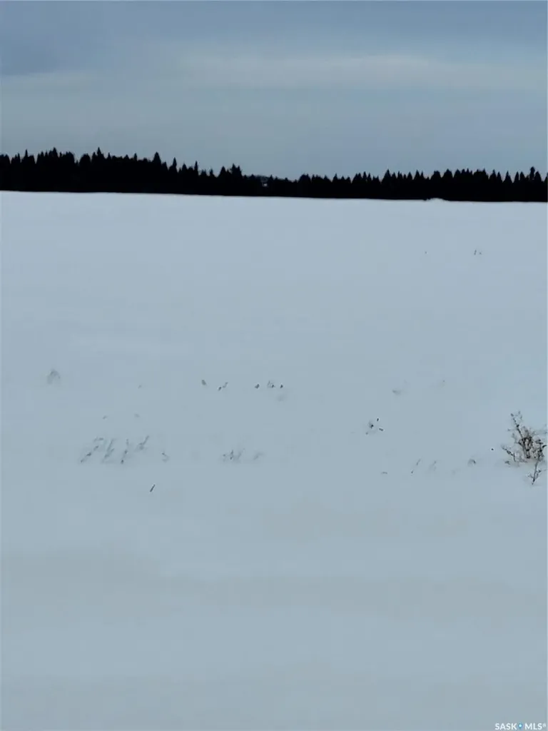 Rural Address Spiritwood Rm No. 496 SK S0J 2M0