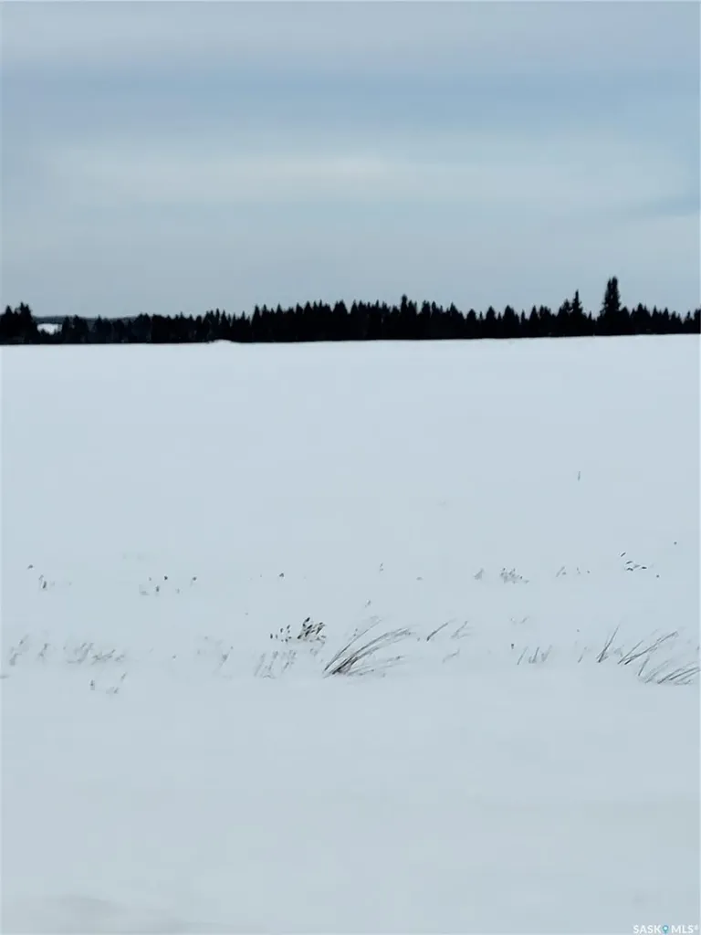 Rural Address Spiritwood Rm No. 496 SK S0J 2M0