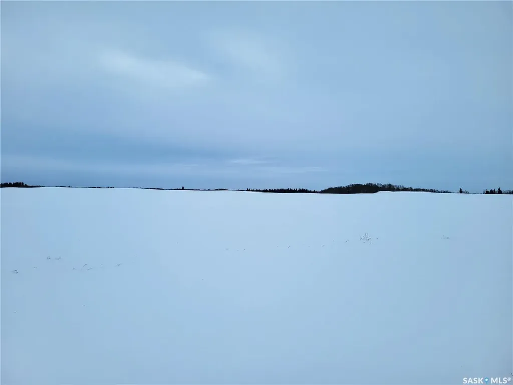 Rural Address Leask Rm No. 464 SK S0J 1M0