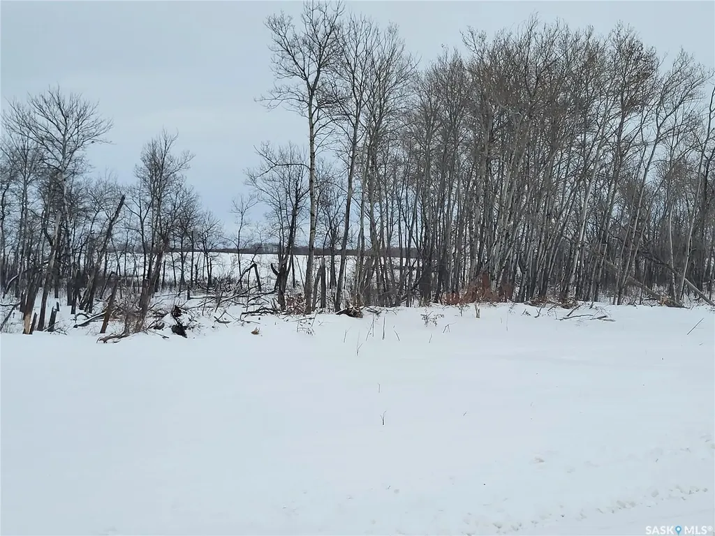 Rural Address Leask Rm No. 464 SK S0J 1M0