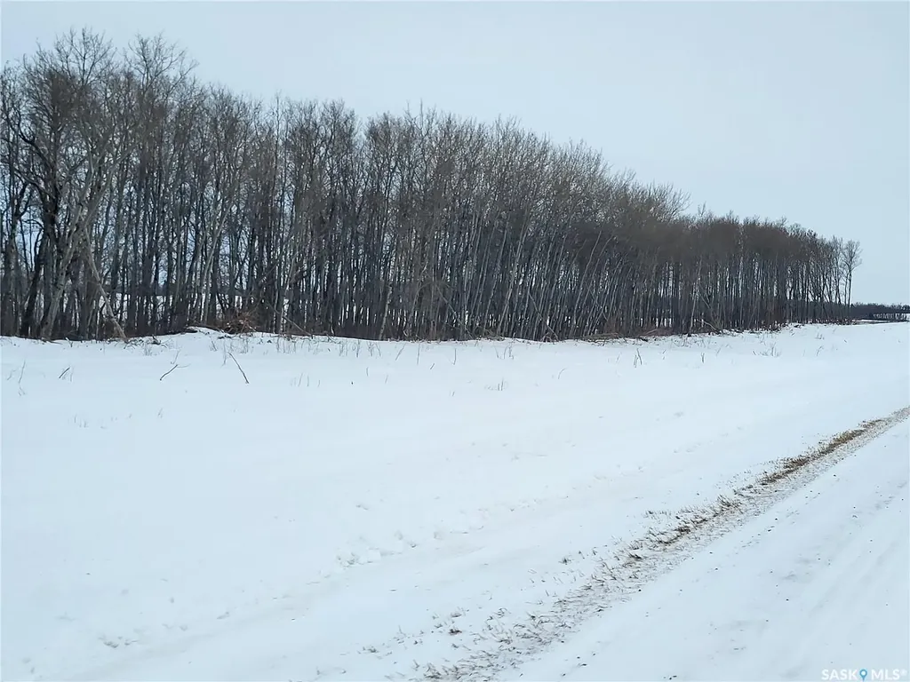 Rural Address Leask Rm No. 464 SK S0J 1M0
