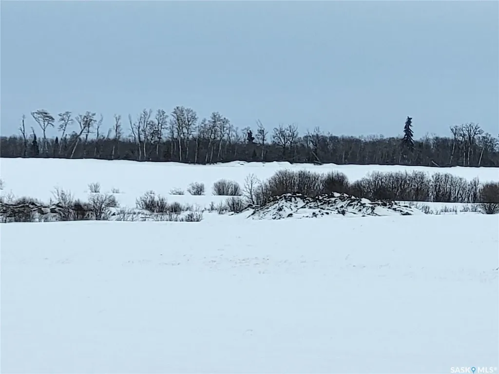 Rural Address Leask Rm No. 464 SK S0J 1M0