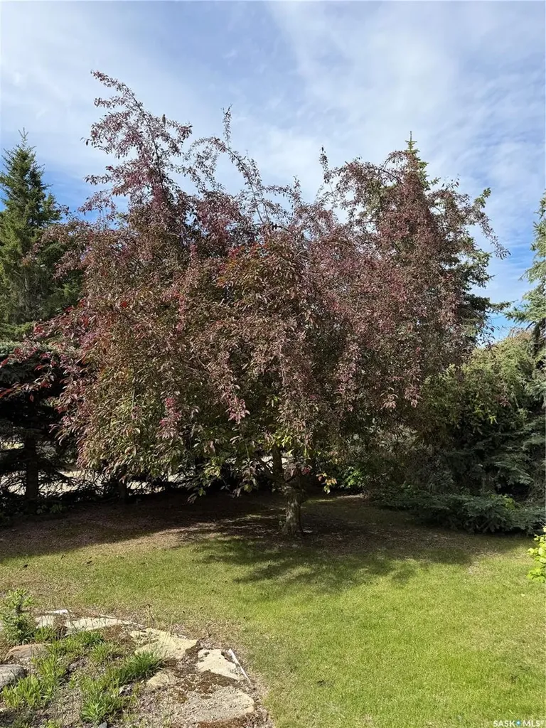 101 Doepker Avenue Annaheim SK S0K 0G0