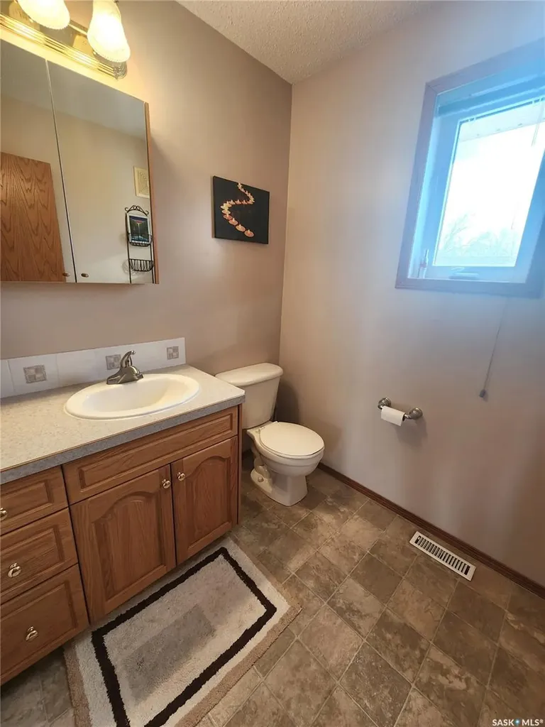 115 Carson Bay Lampman SK S0C 1N0