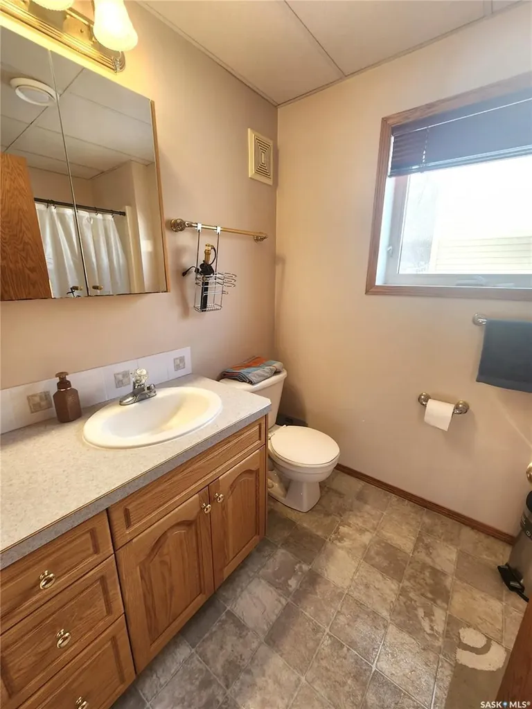 115 Carson Bay Lampman SK S0C 1N0