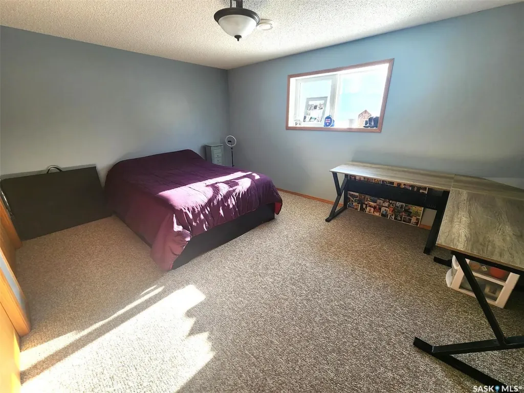 115 Carson Bay Lampman SK S0C 1N0