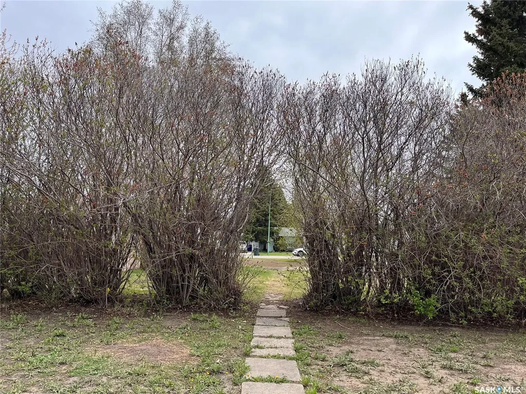 1008 1st Street E Nipawin SK S0E 1E0