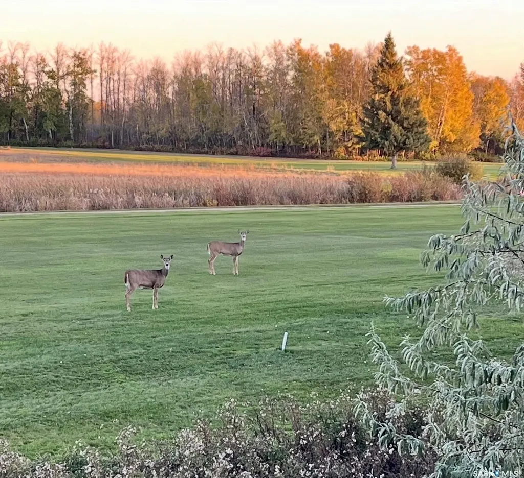 231 Augusta Place Good Lake Rm No. 274 SK S0A 0L1