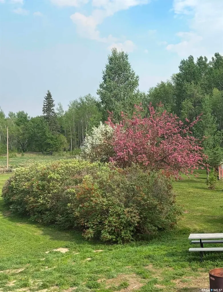 Rural Address Big River Rm No. 555 SK S0J 0E0