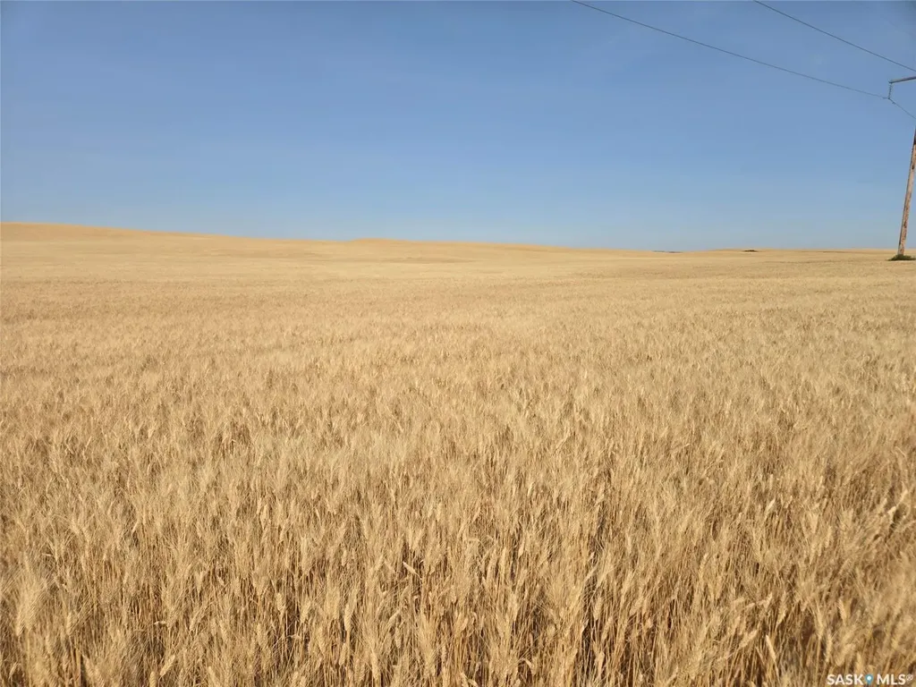 Rural Address Norton Rm No. 69 SK S0C 2C0